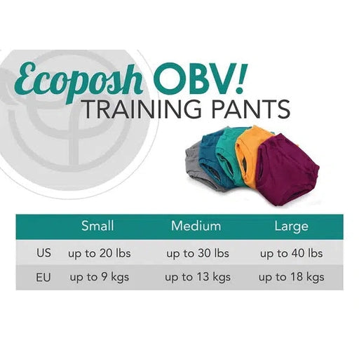 Ecoposh OBV Training Pants-Simply Green Baby
