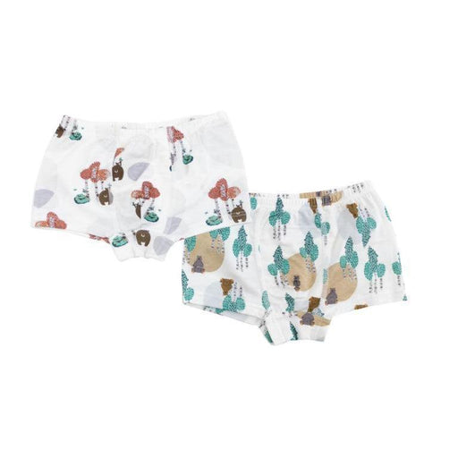 Nest Designs Bamboo Boys Boxer Briefs (2pack)- Bears-Simply Green Baby