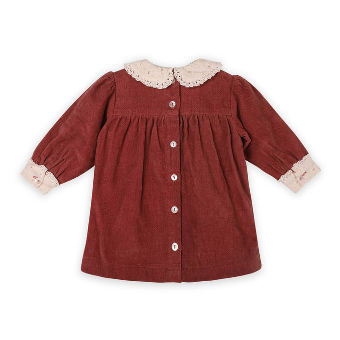 Viverano Organics - Lace Collar Velvet Baby Girl Dress & Bloomer Set (Organic)