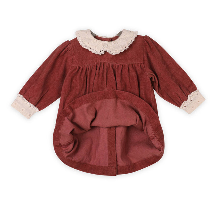 Viverano Organics - Lace Collar Velvet Baby Girl Dress & Bloomer Set (Organic)