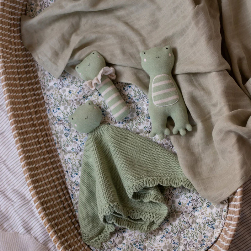 Frog Cloth Avery Row Organic Cuddle Cloth, Frog — Simply Green Baby