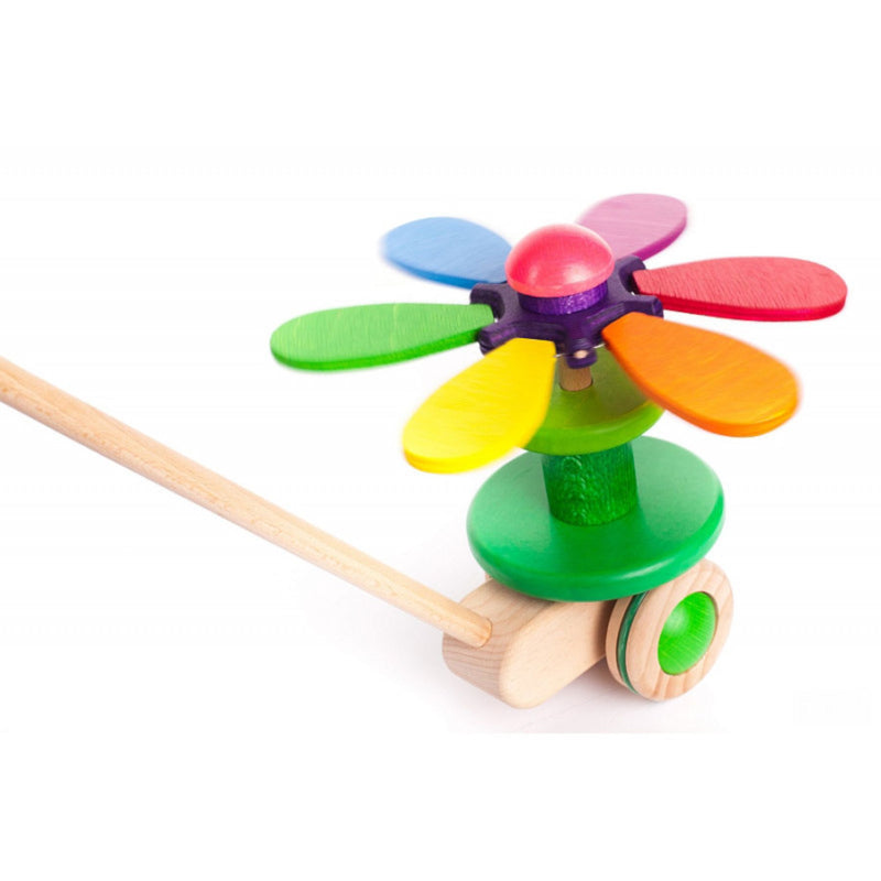 Flower Push Toy