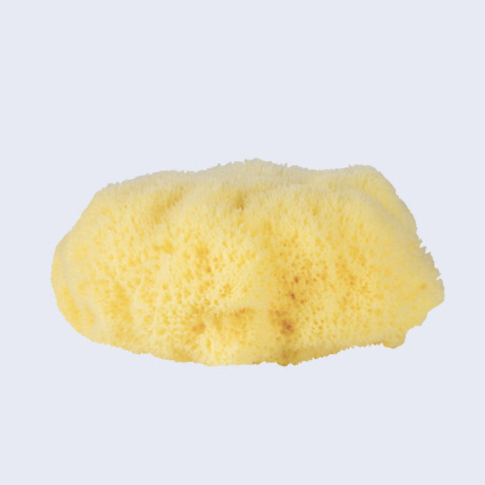Natural Sea Sponge - Fine Silk