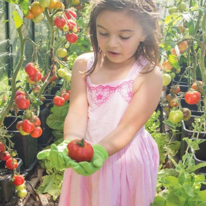 Cotton Gardening Gloves
