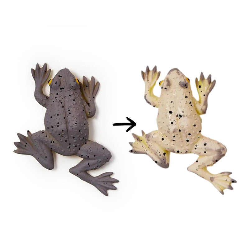 Colour Changing Squishy Frog