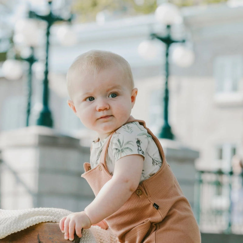 Organic Cotton Jersey Onesie and Rib Shortall Set, Zebra Jungle