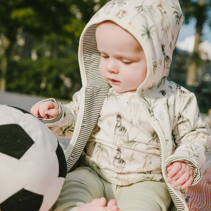 Organic Cotton Jersey T-Shirt and Rib Pants Set, Zebra Jungle