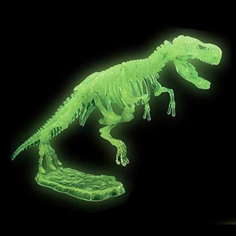 Dinosaurs Glowing Kits 3D Skeleton