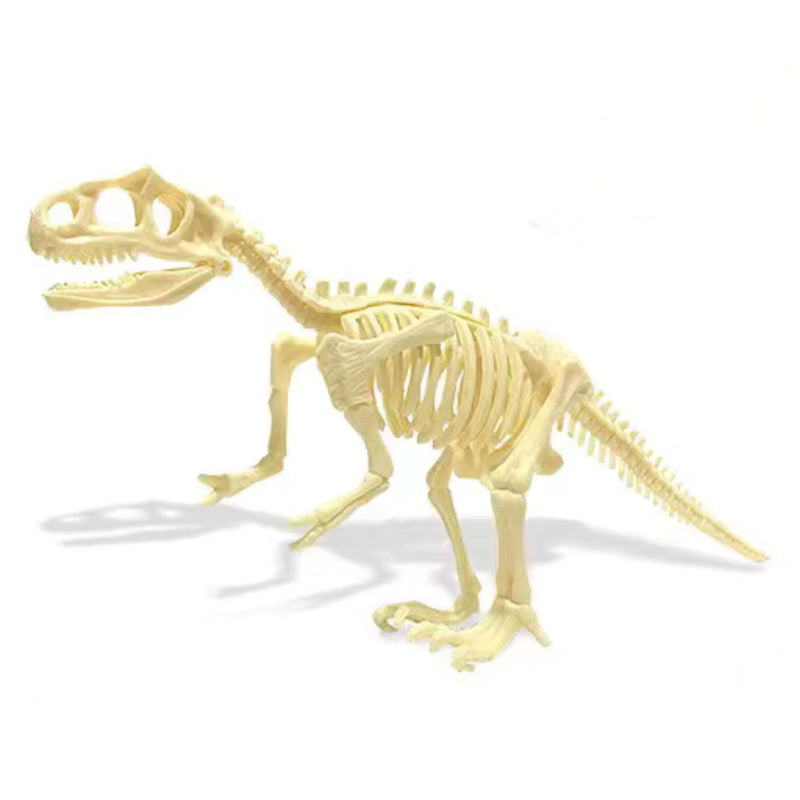 Found Jurassic - Dino Skeleton