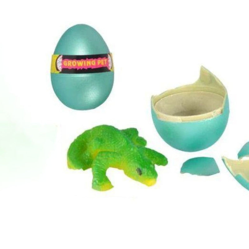 Growing Lizard Egg