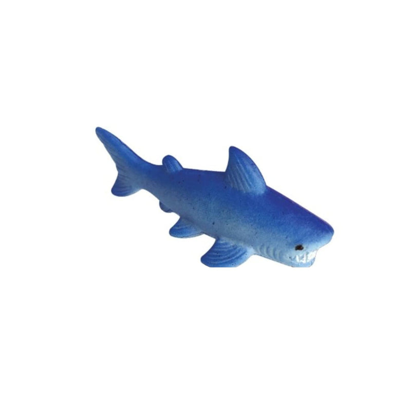 Growing Shark Egg