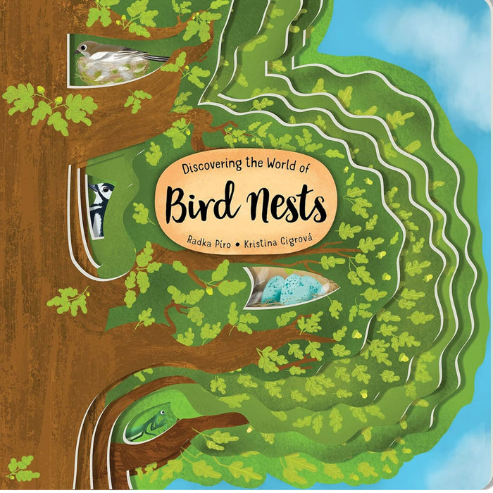 Discover the Hidden World of Bird Nests Book