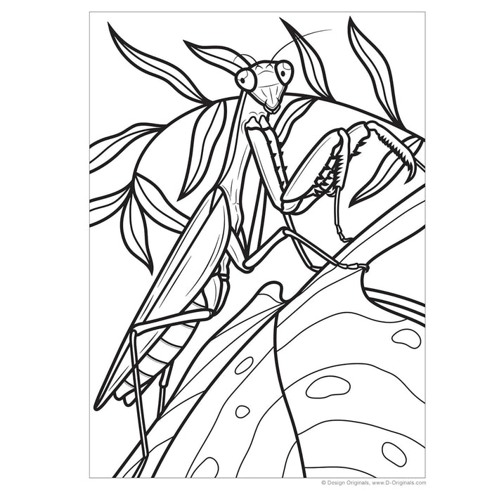 Super Cool Bugs and Spiders Colouring Book