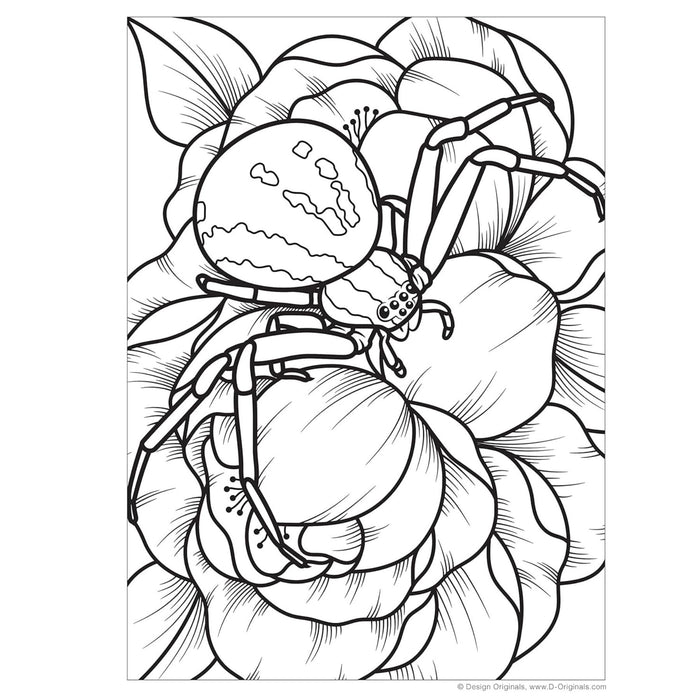 Super Cool Bugs and Spiders Colouring Book