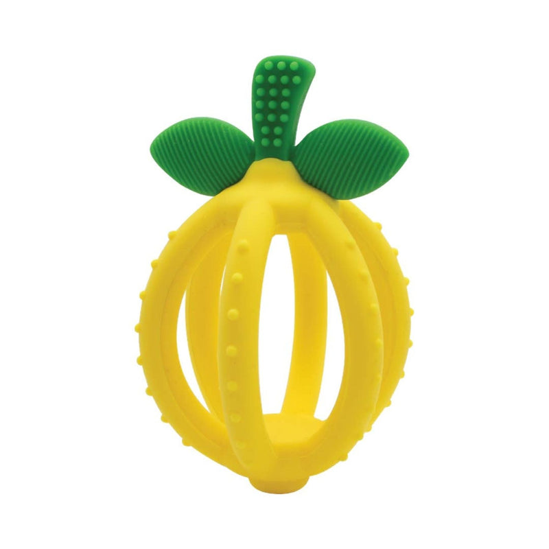 Bitzy Biter Teething Ball + Training Toothbrush