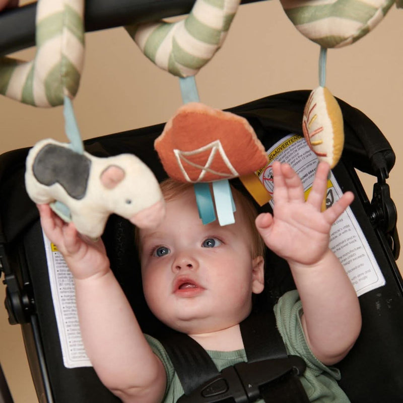 Bitzy Spiral Car Seat Activity Toy