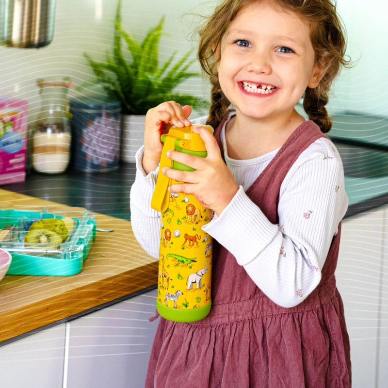 Mali Insulated Stainless Steel Water Bottle, 500ml