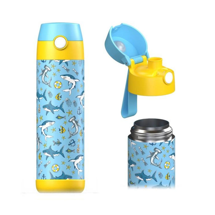 Mali Insulated Stainless Steel Water Bottle, 500ml