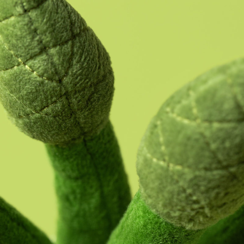 Amuseables Asparagus