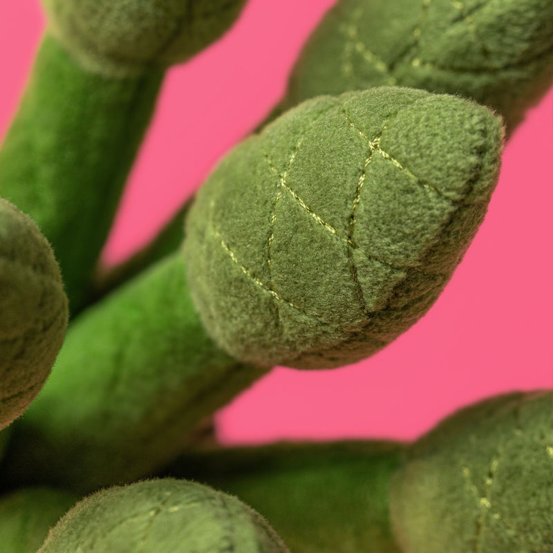 Amuseables Asparagus