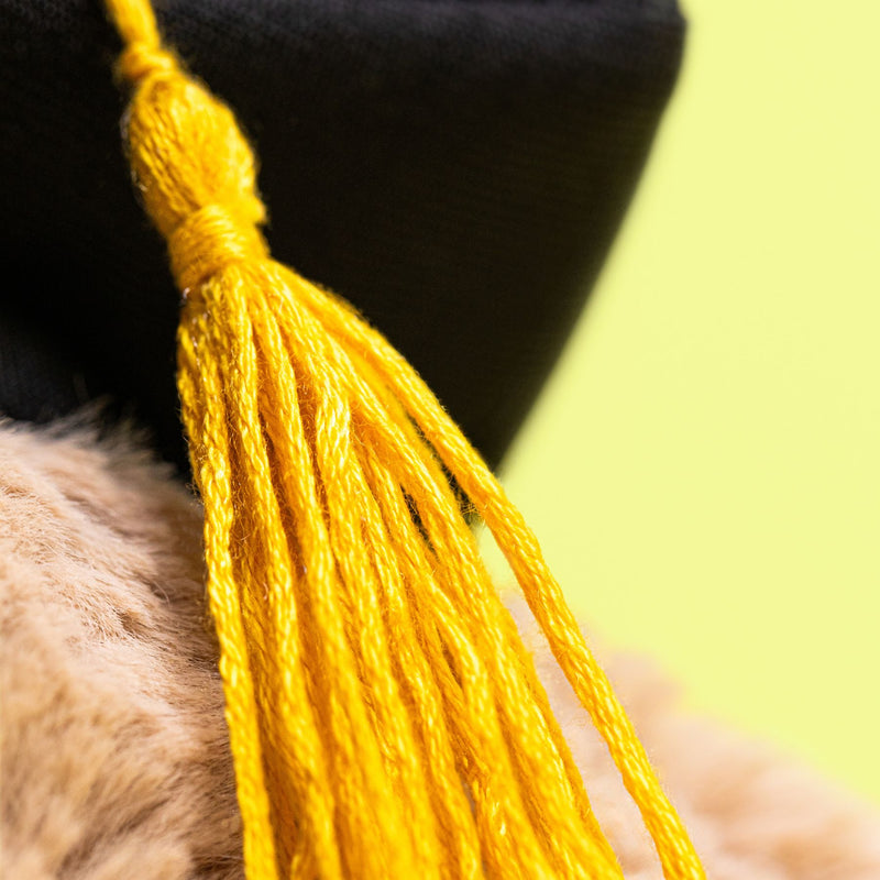Bashful Bunny with Graduation Outfit