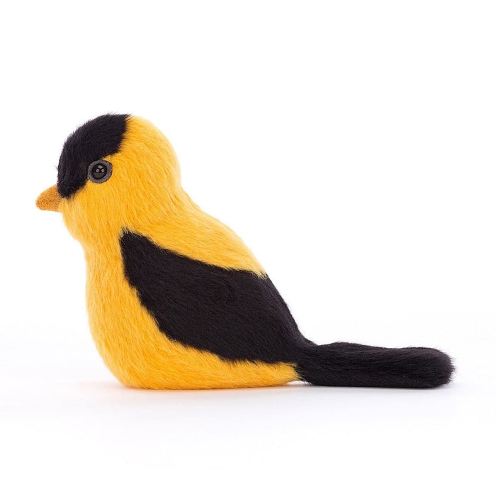 Birding Goldfinch