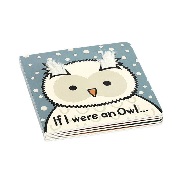 If I were an Owl Book