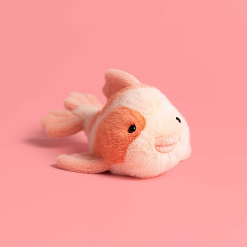 Fancy Carp