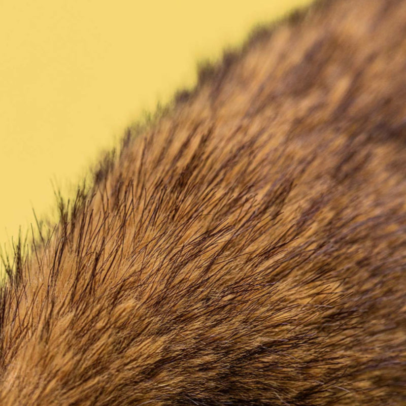 Hoppleston Luxe Bunny