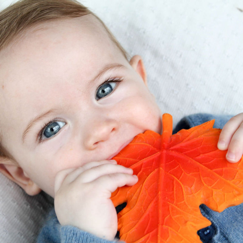 Natural Rubber Teether - Autumn Maple Leaf