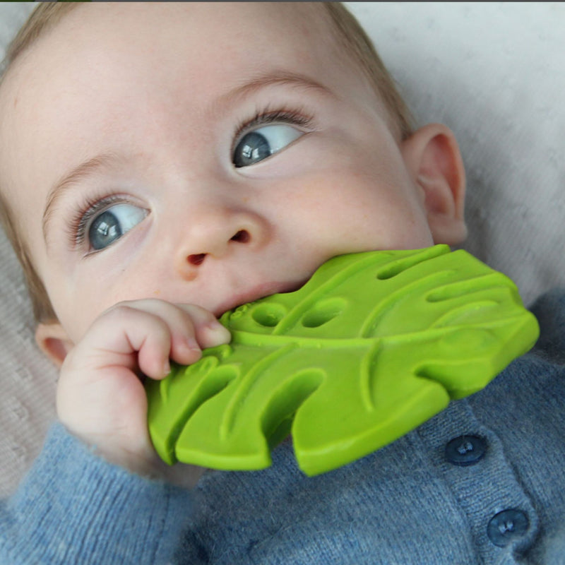 Natural Rubber Teether - Monstera Deliciosa