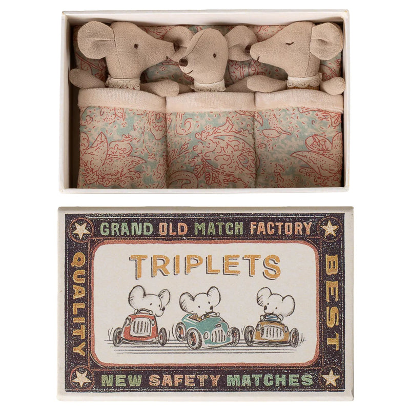 Triplets, Baby Mice in Matchbox, Checker