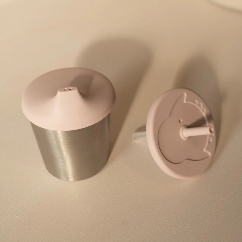 Stainless Steel Cup with Silicone Spout + Straw