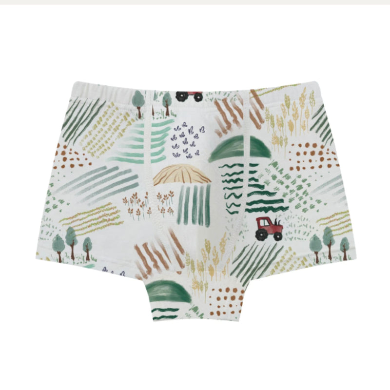 Bamboo Boy Boxer Underwear (4pack)