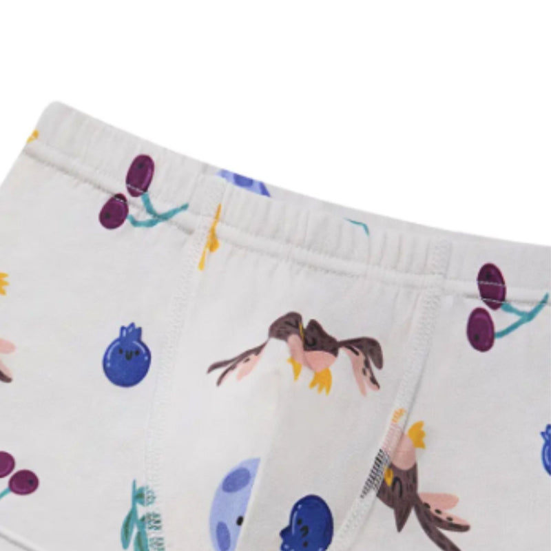 Bamboo Boys Boxer Underwear (2pack)