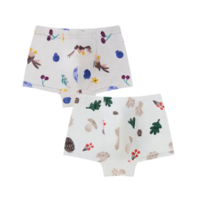 Bamboo Boys Boxer Underwear (2pack)