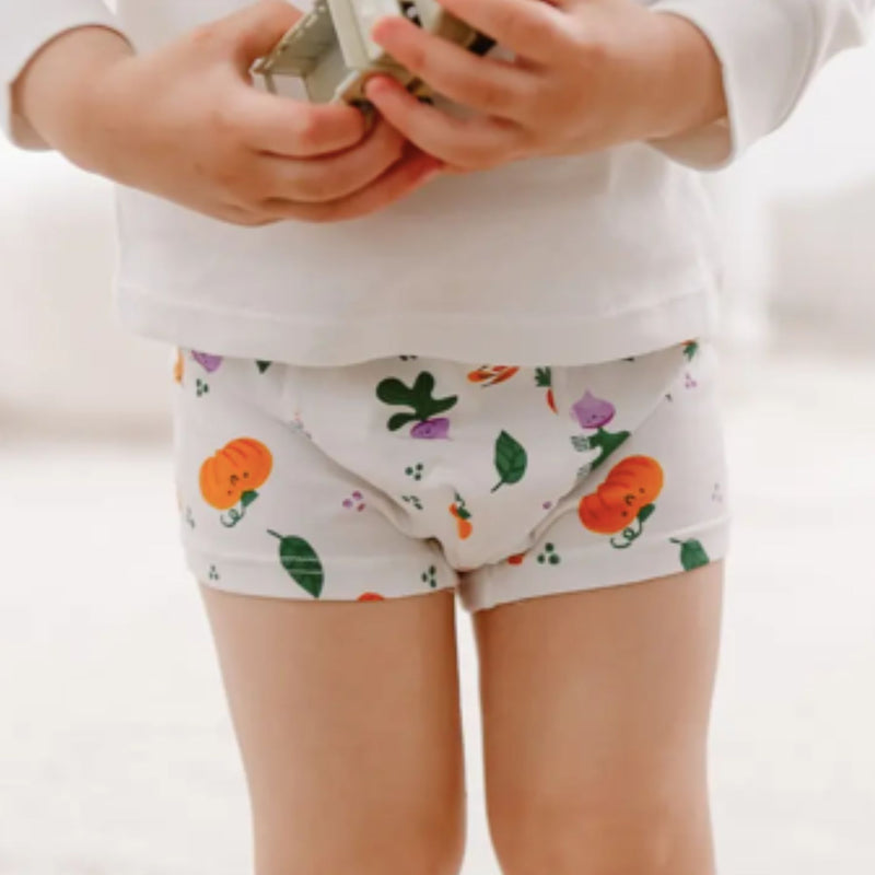 Bamboo Boys Boxer Underwear (2pack)