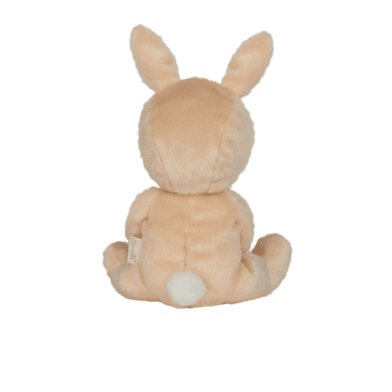 Dinky Dinkum Dolls Fluffle Family