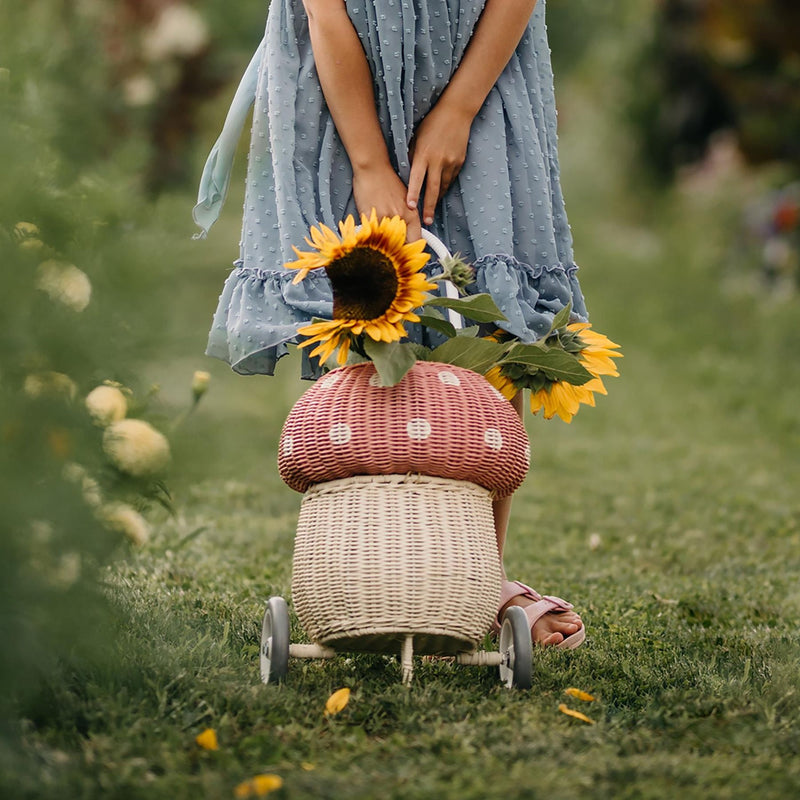 Rattan Mushroom Luggy