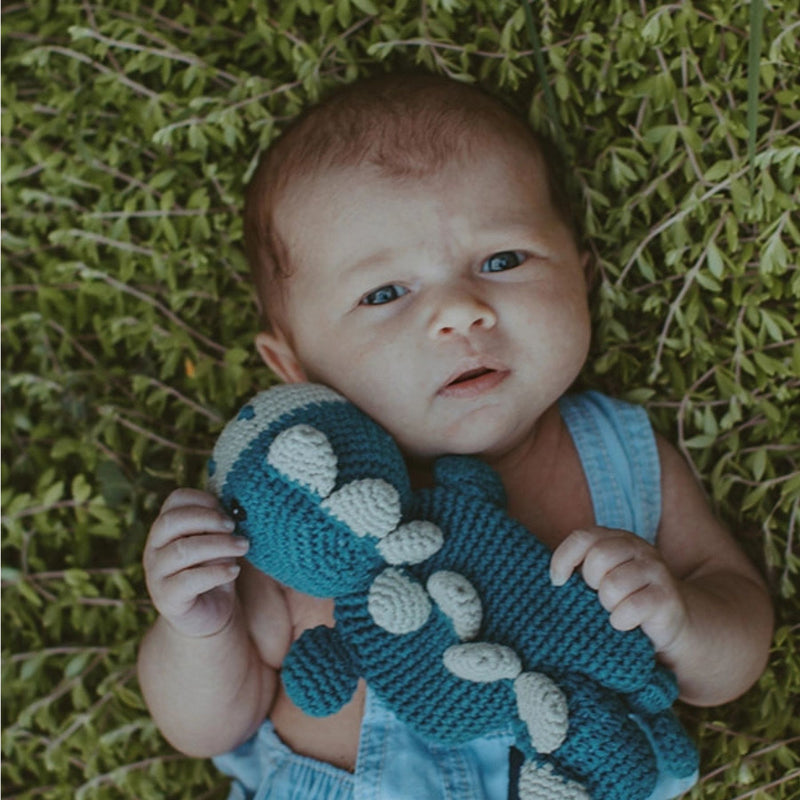 Organic Cotton Crochet Dinosaur Lovery