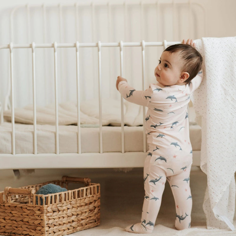 Dolphins, Convertible Sleeper