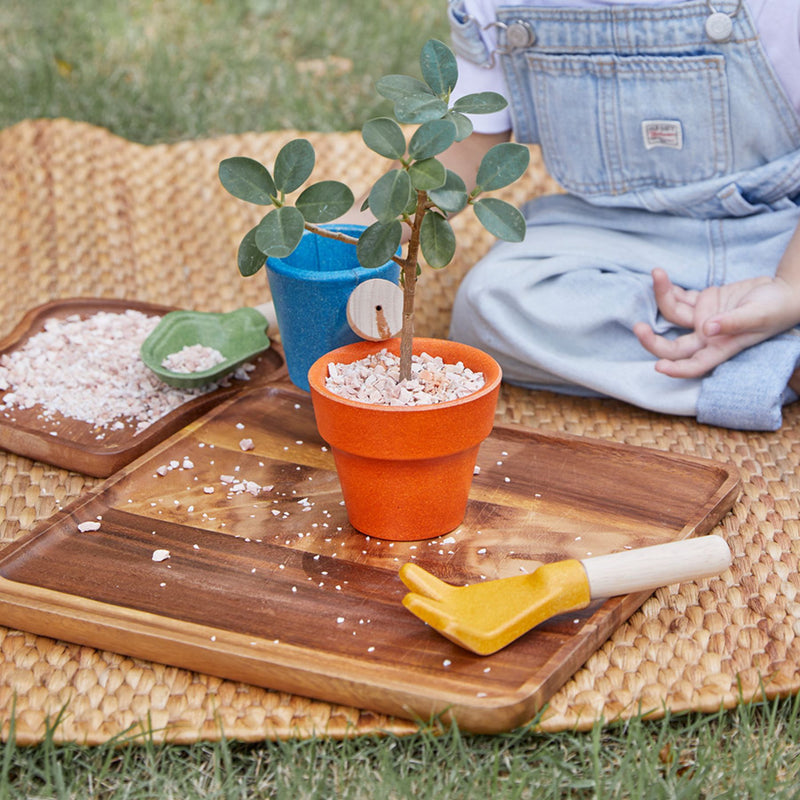 Gardening Set