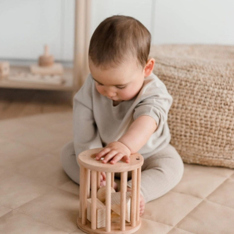 Roll me Shape Sorter