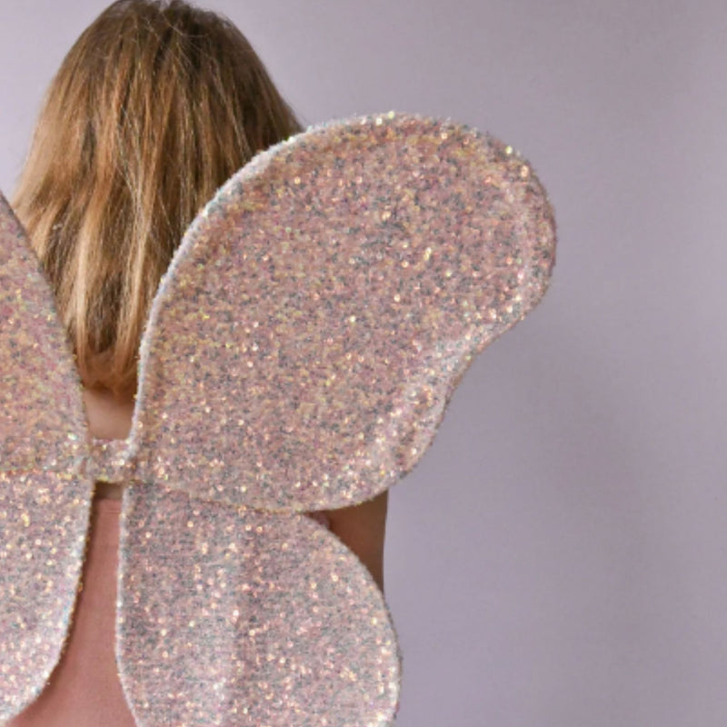 Magical Sequin Fairy Wings
