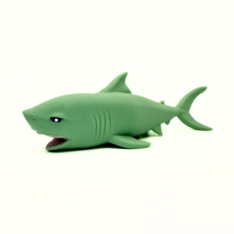 Stretchy Sand Sea Life