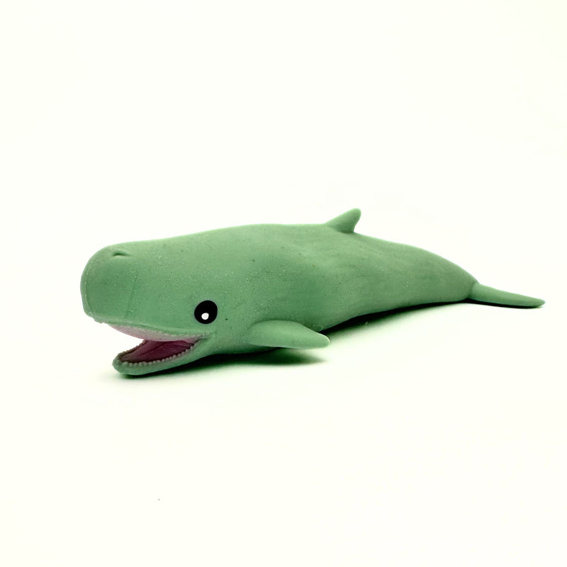 Stretchy Sand Sea Life