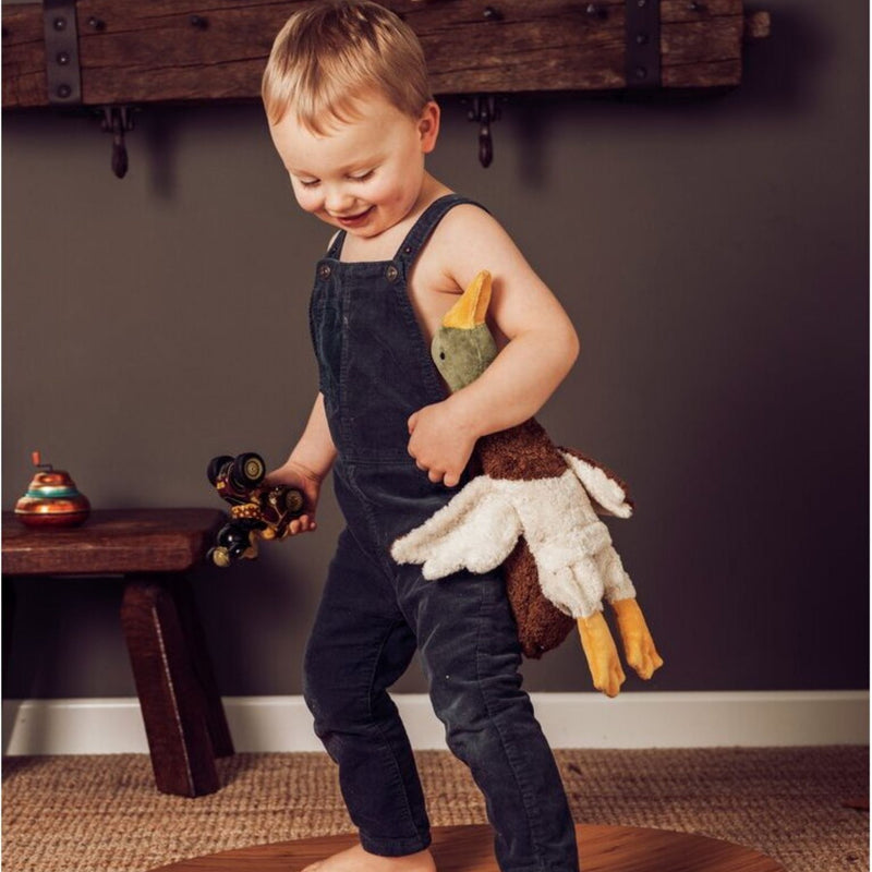 Organic Cuddly Animals, Small Drake