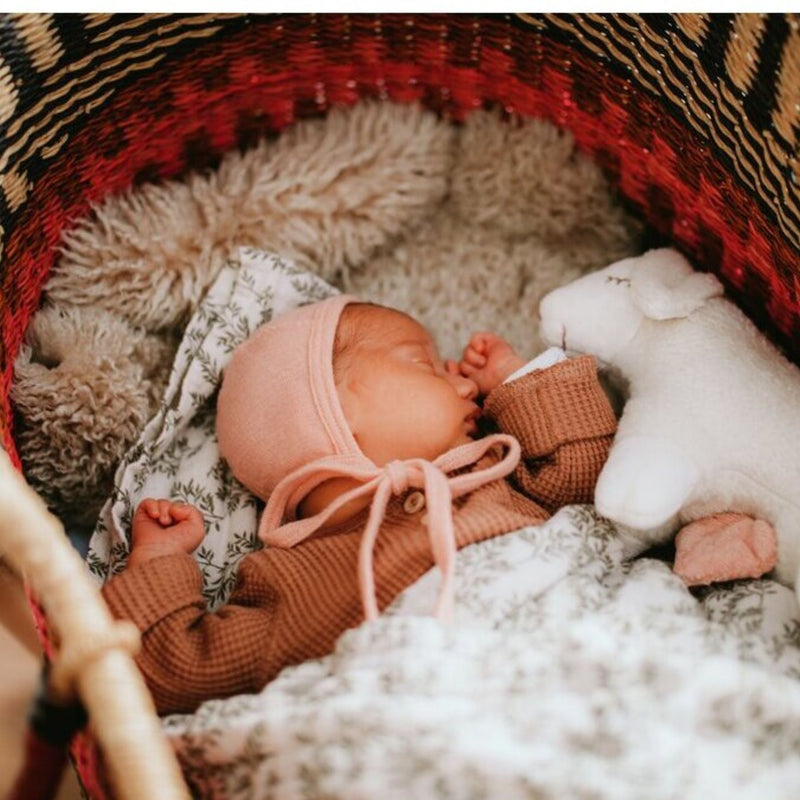 Organic Music Box, Sheep