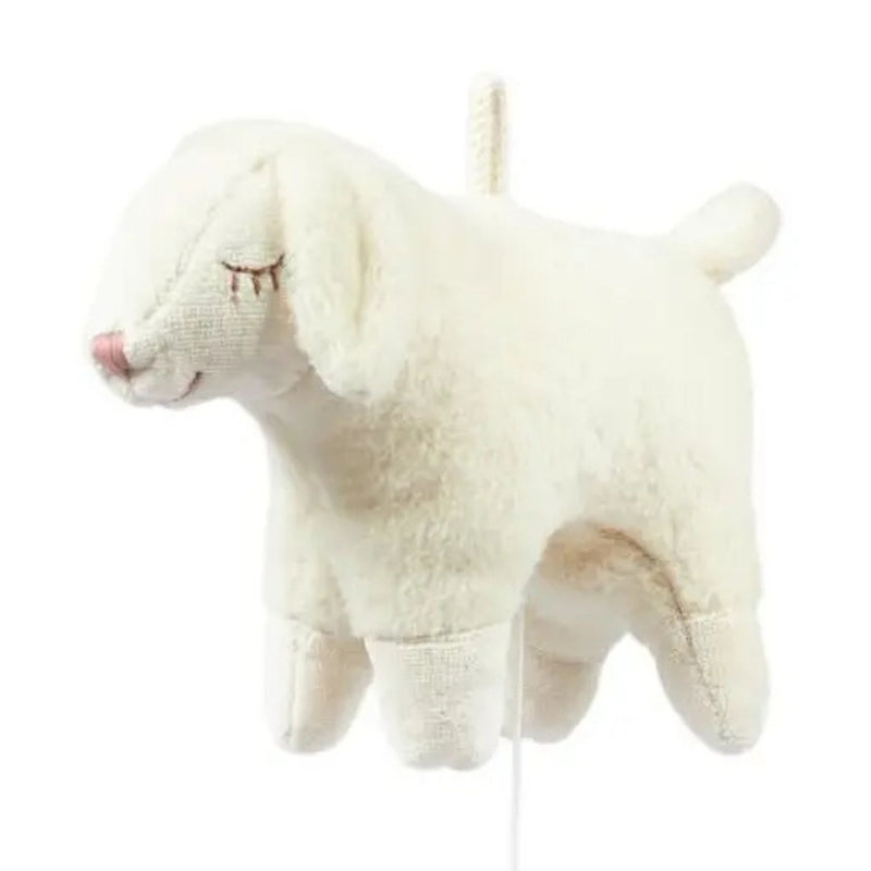 Organic Music Box, Sheep