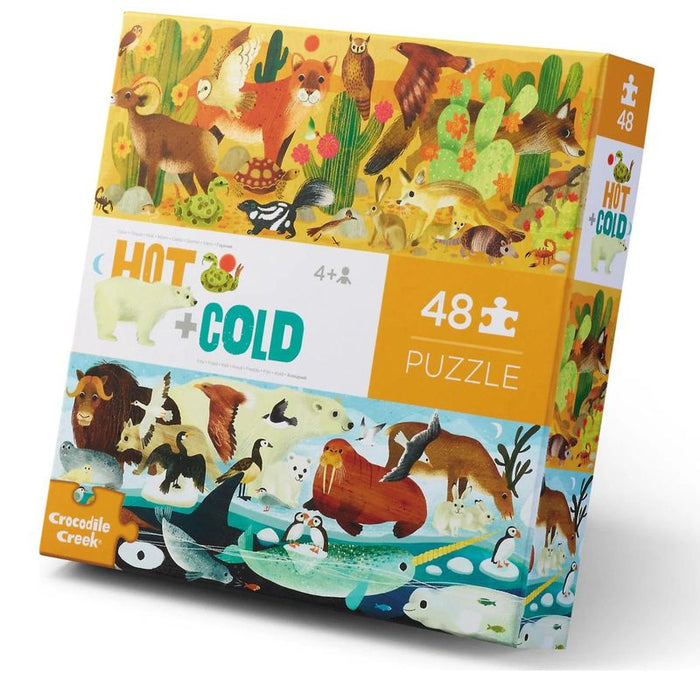 Hot & Cold Puzzle